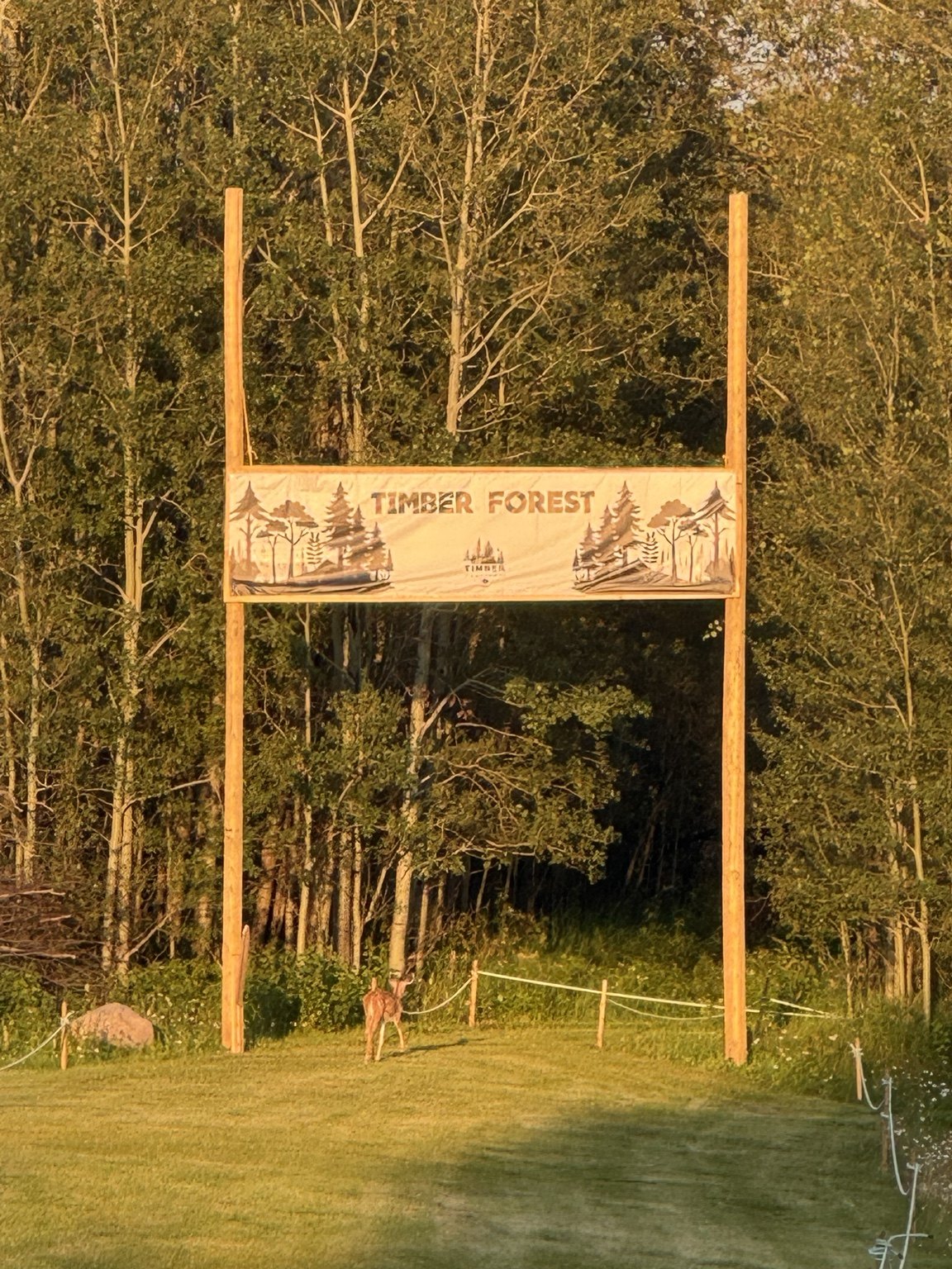 A deer standing beneath the Timber Forest entrance sign